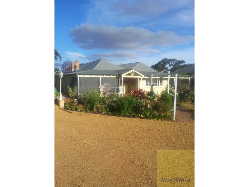 24 Balfour Street, Pingelly WA 6308