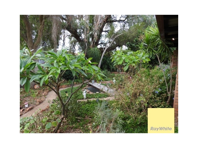 49 Gribble Avenue, Armadale WA 6112