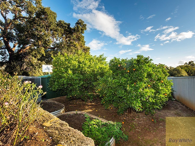 8 Bradshaw Road, Byford WA 6122