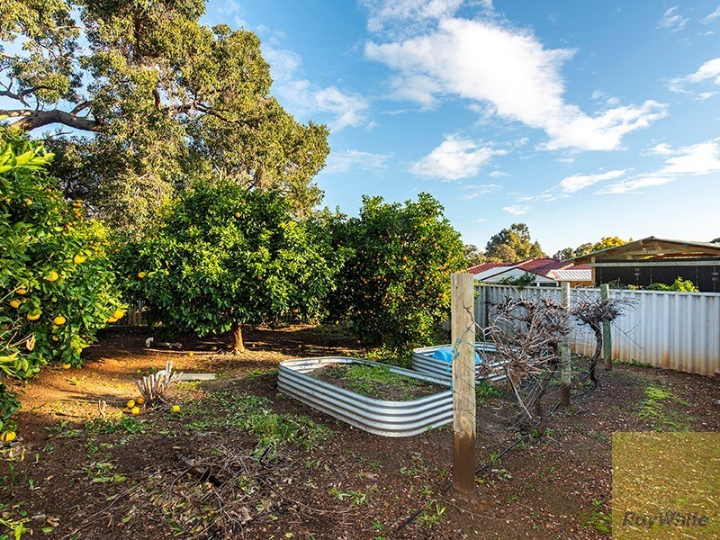 8 Bradshaw Road, Byford WA 6122