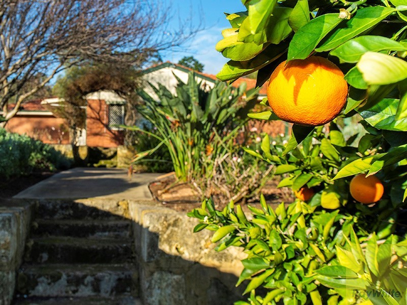 8 Bradshaw Road, Byford WA 6122