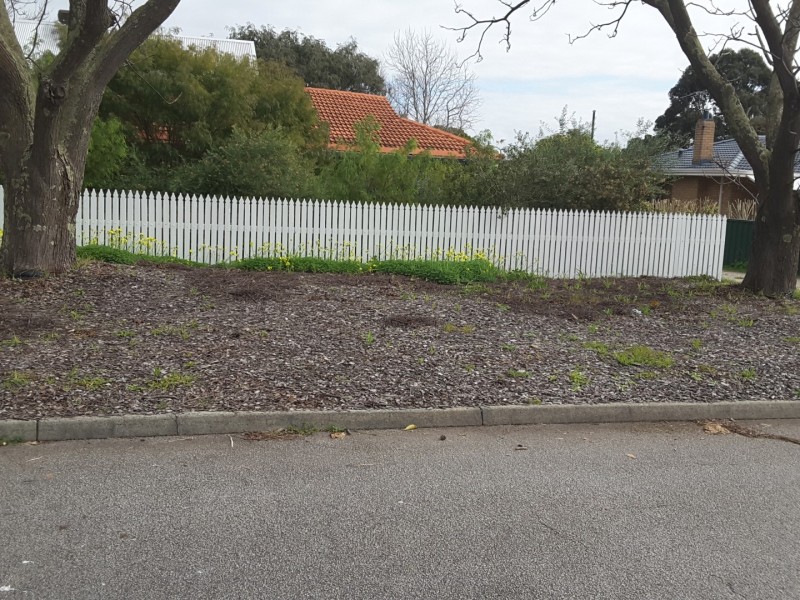 13 Badbury Road, Armadale WA 6112