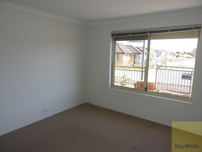 11 Xanthium Circle, Seville Grove WA 6112