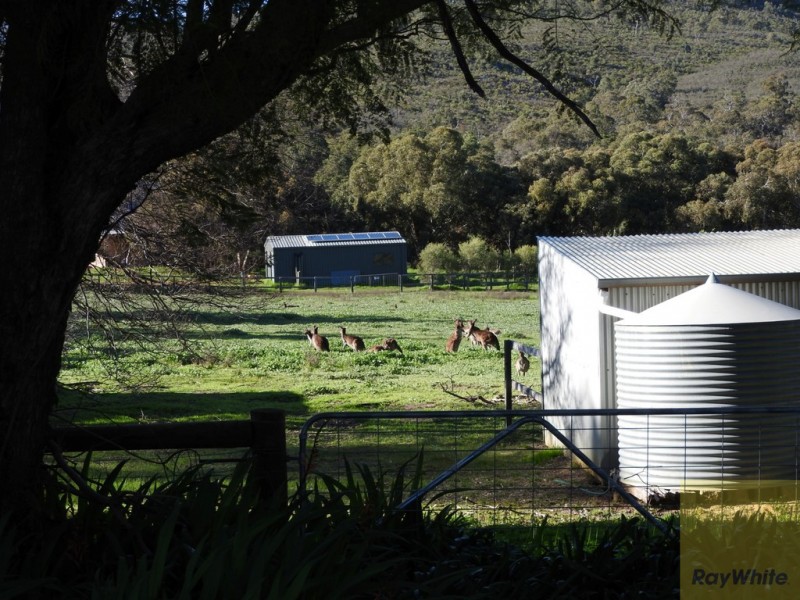 105 Hayward Road, Martin WA 6110