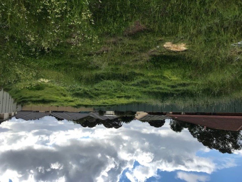 43 Forrest Road, Armadale WA 6112