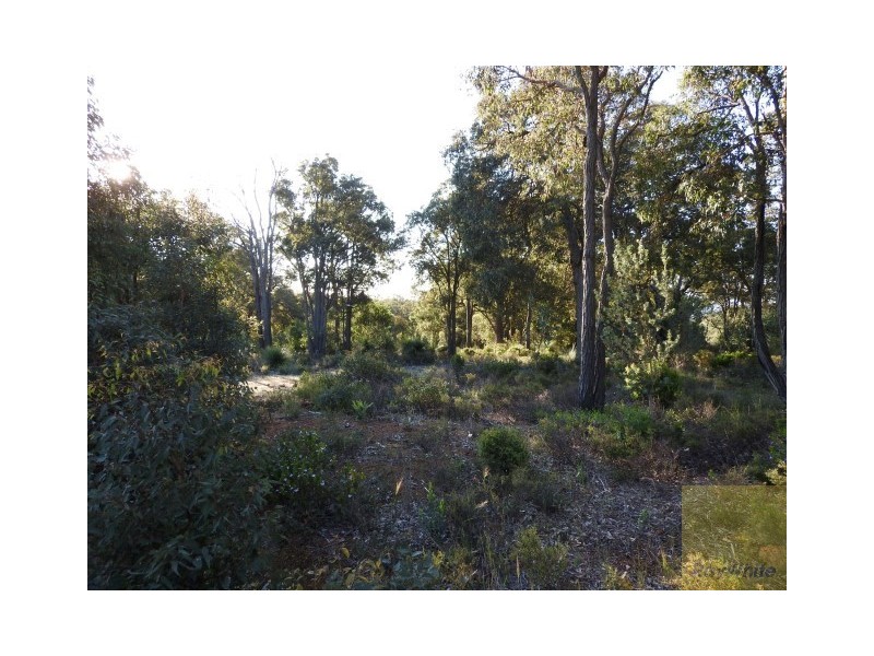 31 Observation Circle, Bedfordale WA 6112