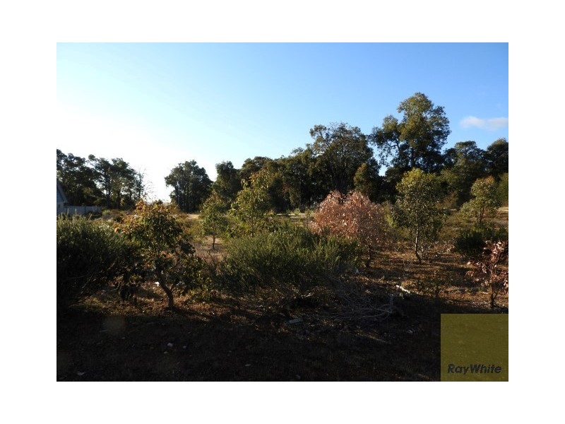 31 Observation Circle, Bedfordale WA 6112