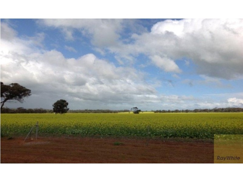 115 Jose Street, Brookton WA 6306