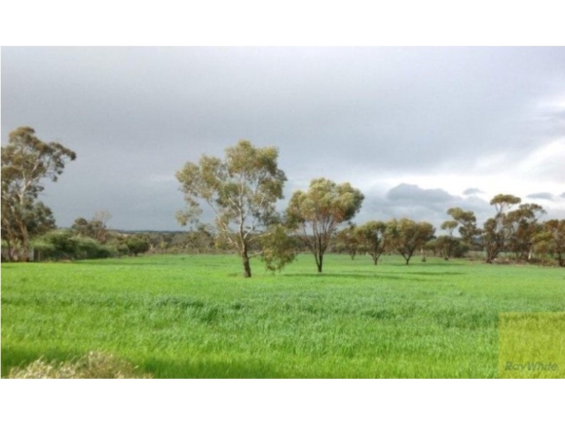 115 Jose Street, Brookton WA 6306