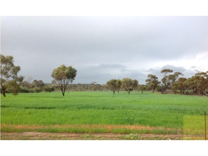 115 Jose Street, Brookton WA 6306