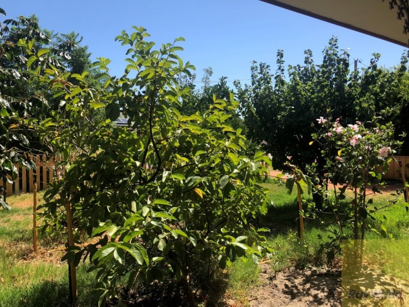 29 Montrose Circle, Camillo WA 6111