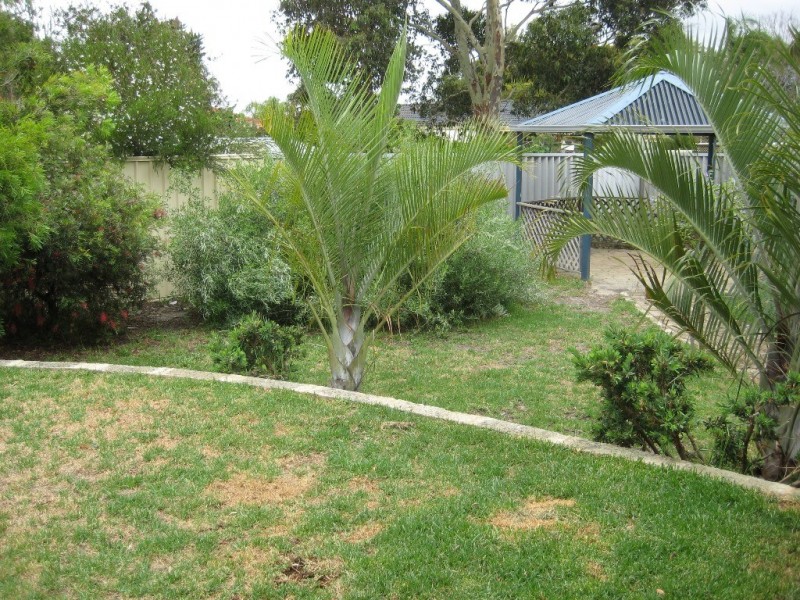 11 Denning Court, Seville Grove WA 6112