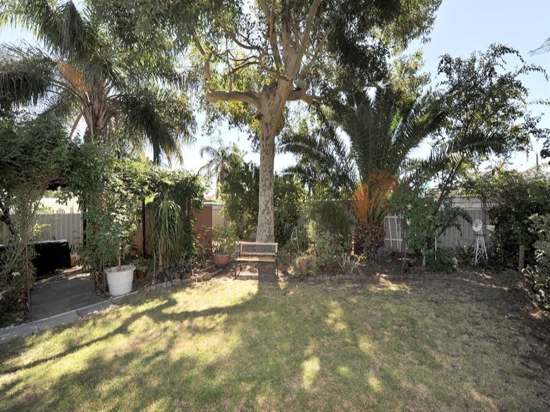 24 Cudal Place, Armadale WA 6112