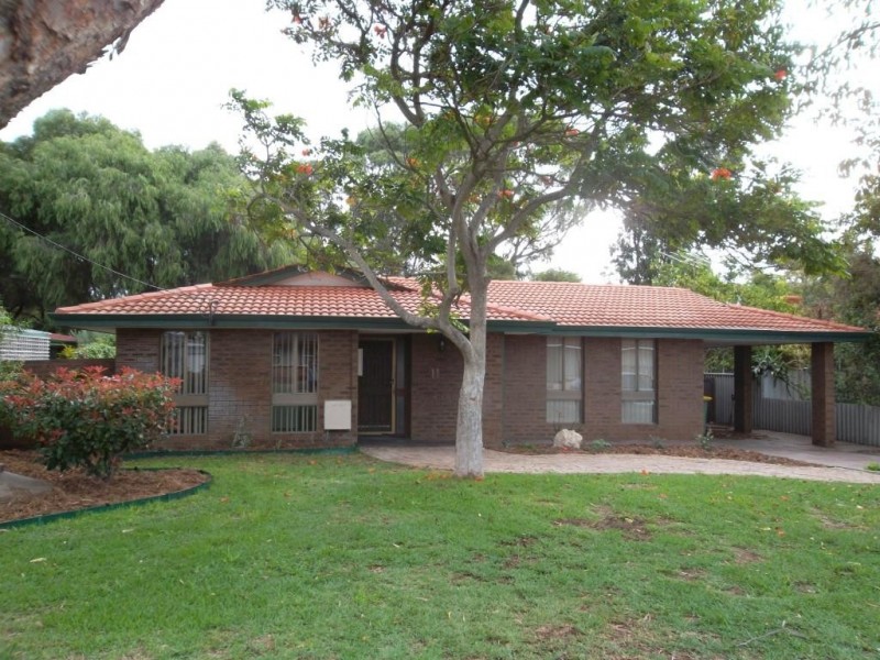 11 Cetus Court, Rockingham WA 6168