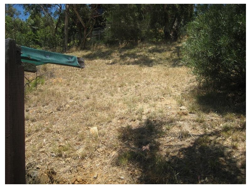 14 Amethyst Crescent, Mount Richon WA 6112