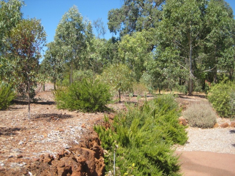 12 Blissett Drive, Bedfordale WA 6112