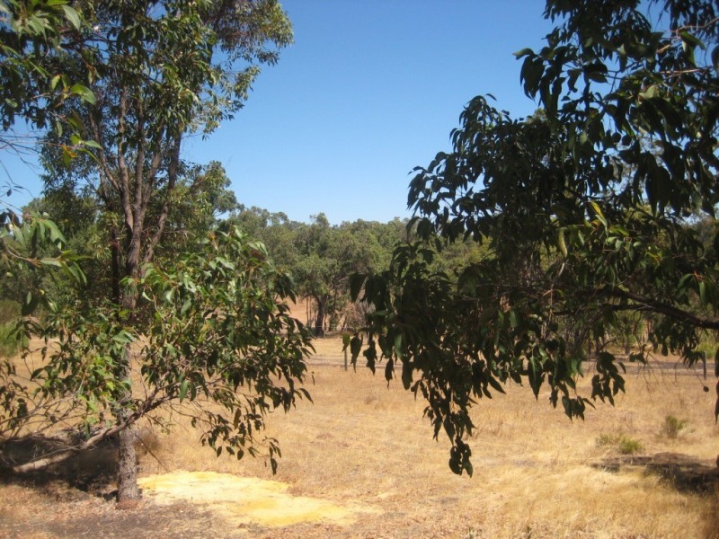 12 Blissett Drive, Bedfordale WA 6112