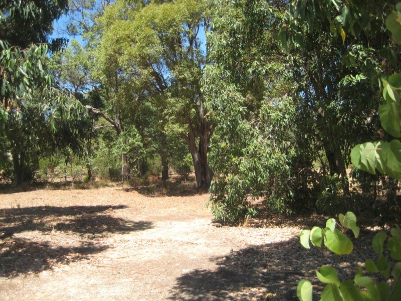 12 Blissett Drive, Bedfordale WA 6112