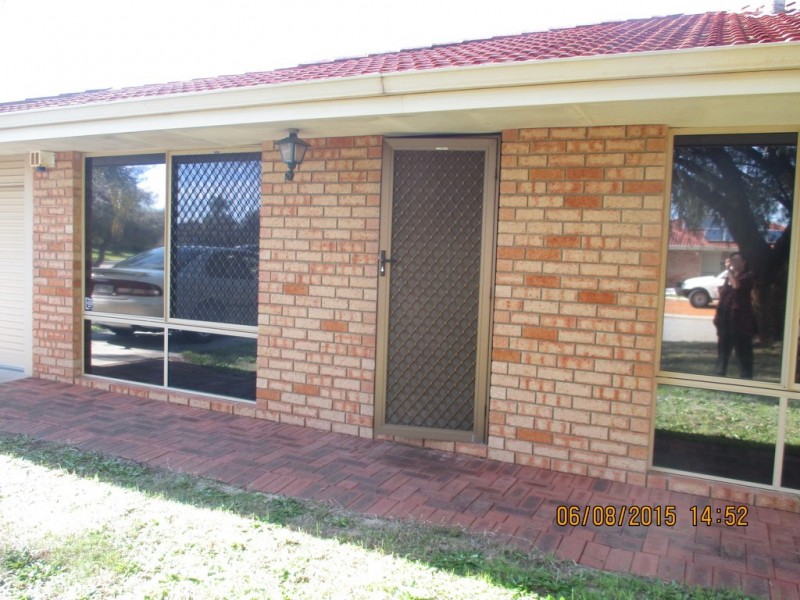 17 Sayer Crescent, Gosnells WA 6110