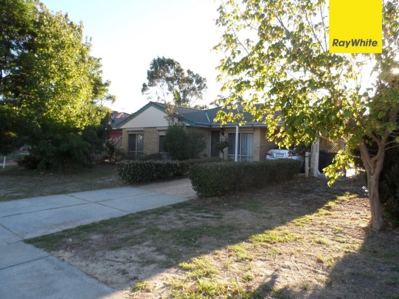 25 Lisbon Way, Seville Grove WA 6112