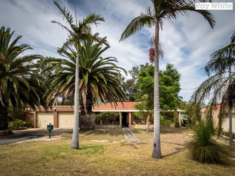 12 Palm Terrace, Forrestfield WA 6058