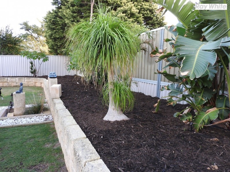 12 Piesse Place, Seville Grove WA 6112