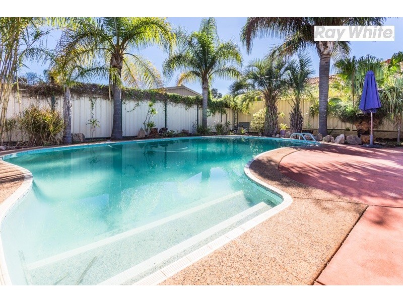 16 Elanora Road, Armadale WA 6112