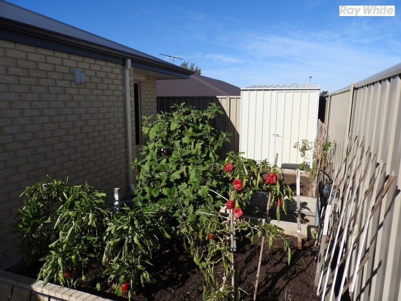 17 Jeffrey Loop, Brookdale WA 6112