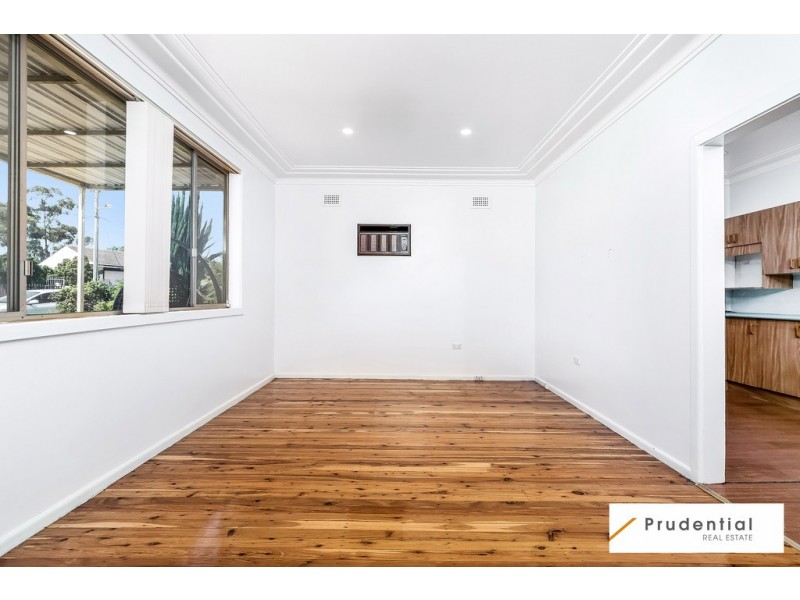 17 Dunbier Avenue, Lurnea NSW 2170