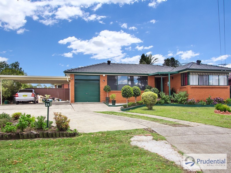 25 Wildman Ave, Liverpool NSW 2170