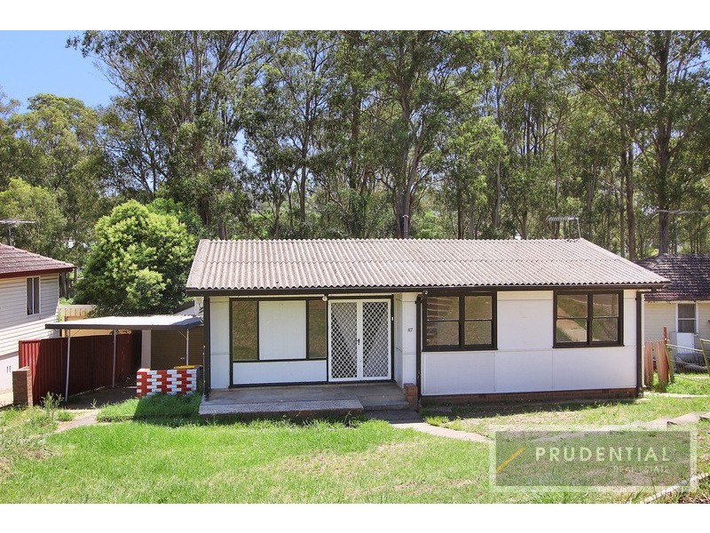 47 Cartwright Avenue, Busby NSW 2168