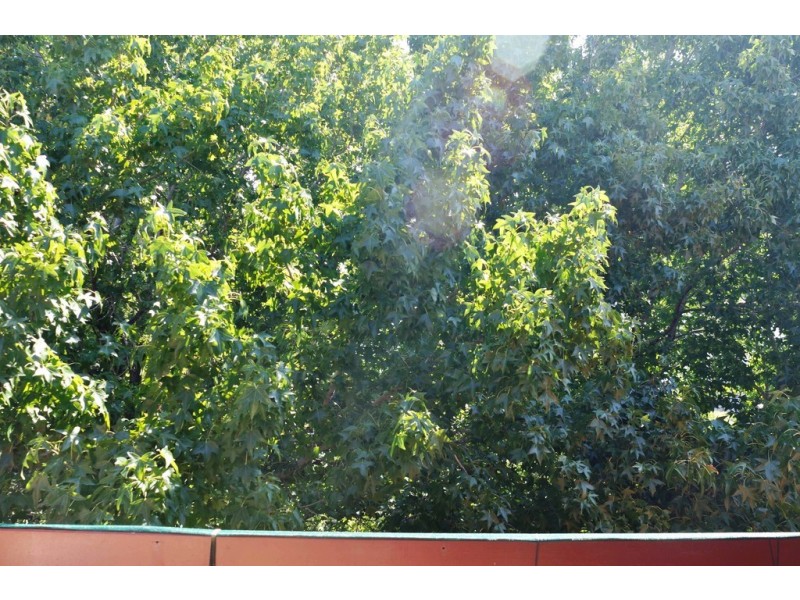 17-19 Phillip Street, Roselands NSW 2196