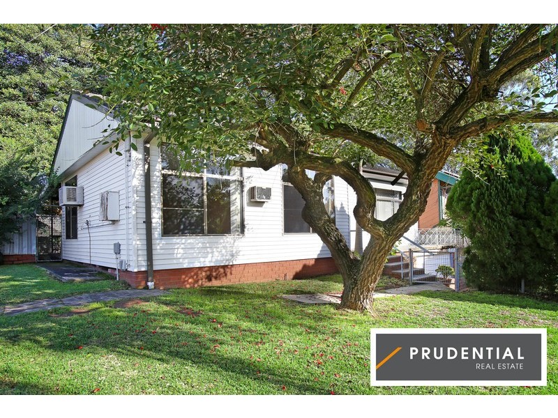 20 Edna Avenue, Mount Pritchard NSW 2170