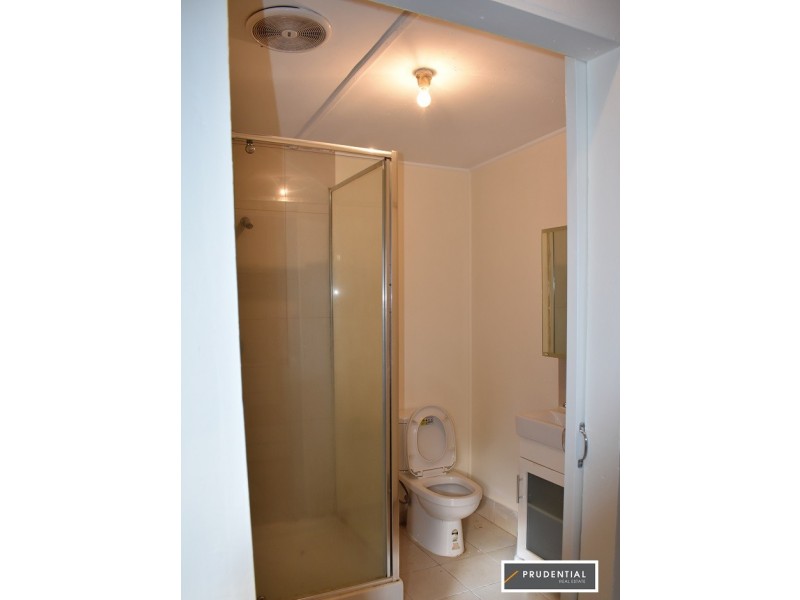 20B Roslyn Street, Liverpool NSW 2170