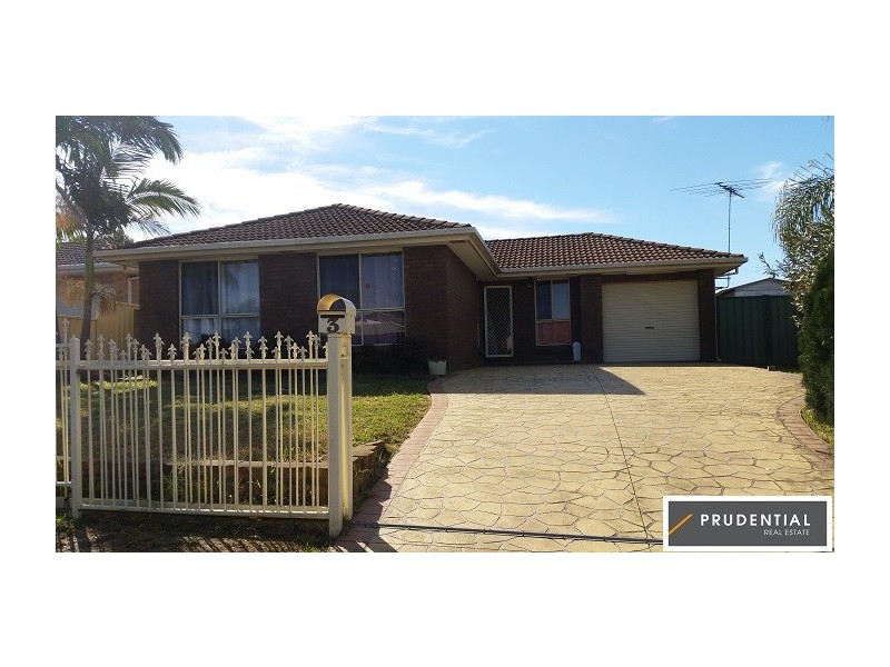3 Day Place, Minto NSW 2566