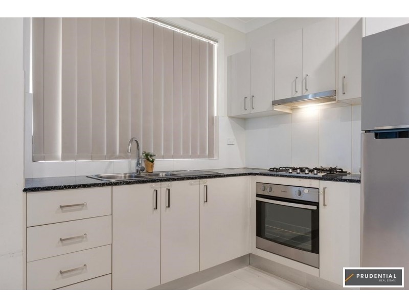 16A Lillas Place, Minto NSW 2566