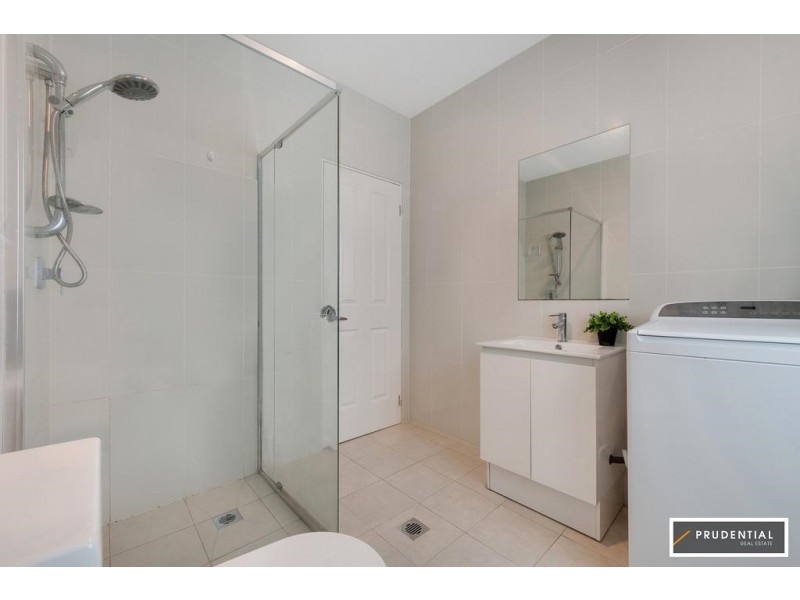 16A Lillas Place, Minto NSW 2566