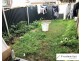 80A Jardine Drive, Edmondson Park NSW 2174