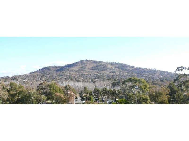 16/6 Heard Street, Mawson ACT 2607