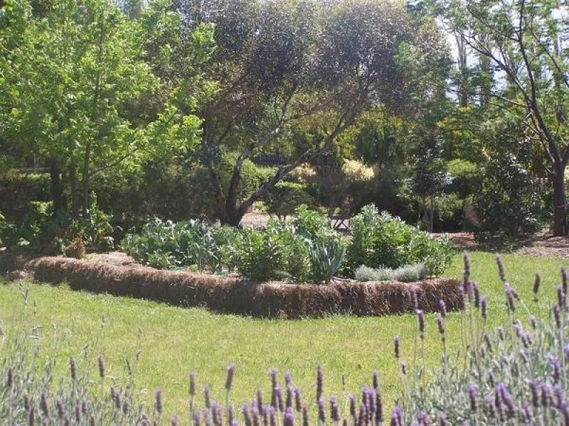 Coolangatta NSW 2535