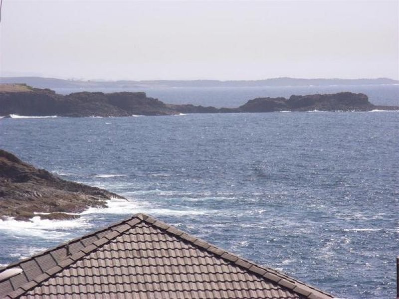 Kiama NSW 2533