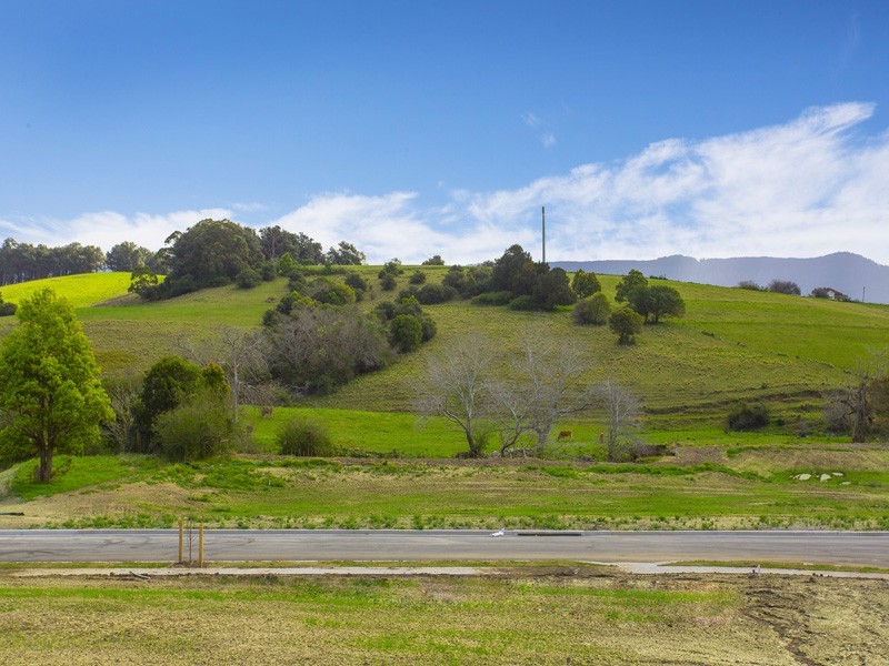 Lot 213, 22 Wyalla Road, Jamberoo NSW 2533