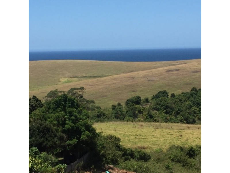 38 Anembo Crescent, Kiama Heights NSW 2533