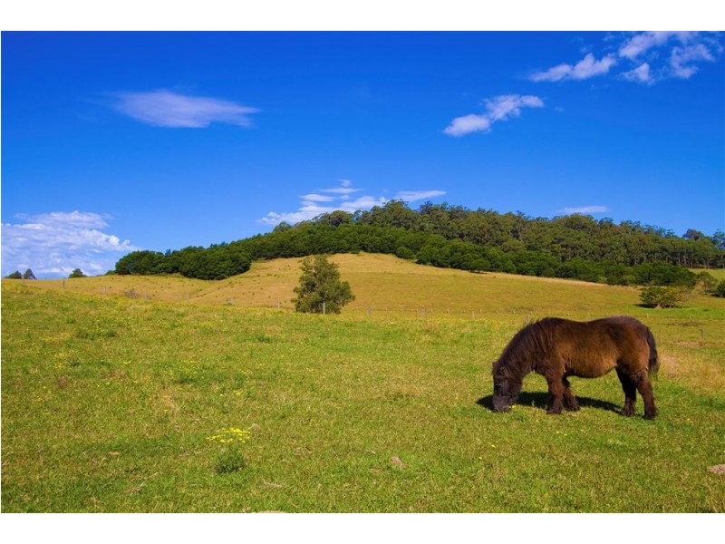 52 Foxground Road, Foxground NSW 2534