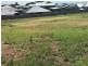 Kiama NSW 2533