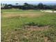 Kiama NSW 2533