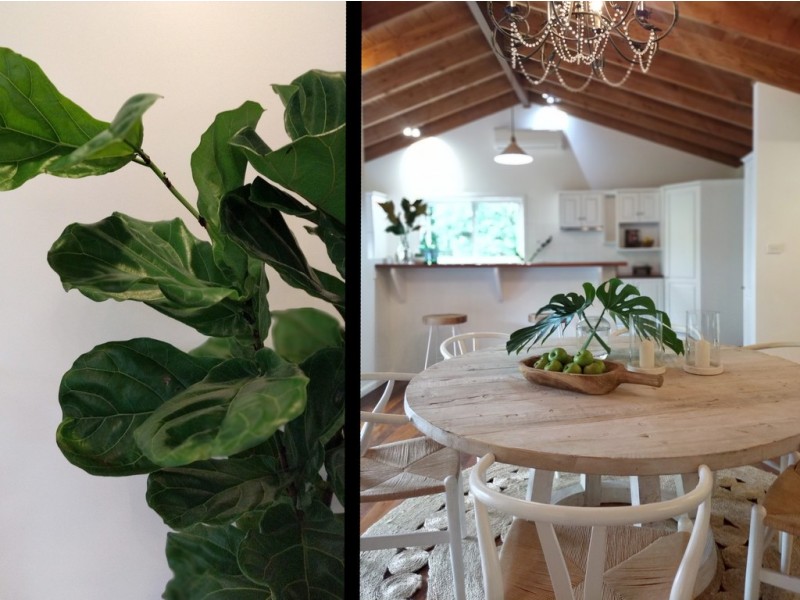 41A CEDAR RIDGE ROAD, Kiama NSW 2533