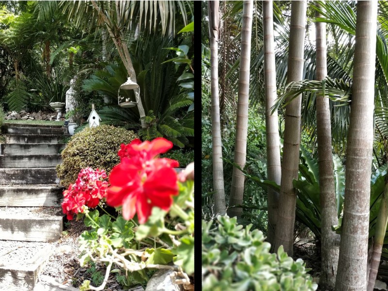 41A CEDAR RIDGE ROAD, Kiama NSW 2533