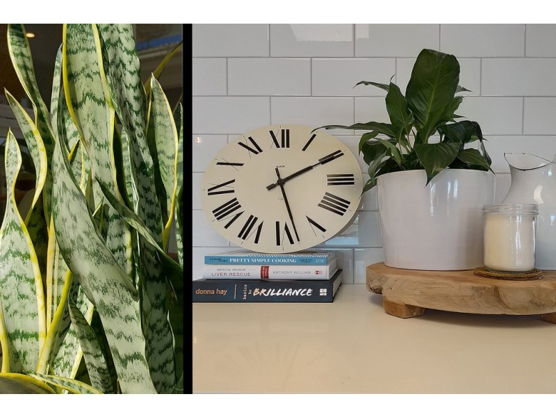 77 Kalang Road, Kiama Heights NSW 2533