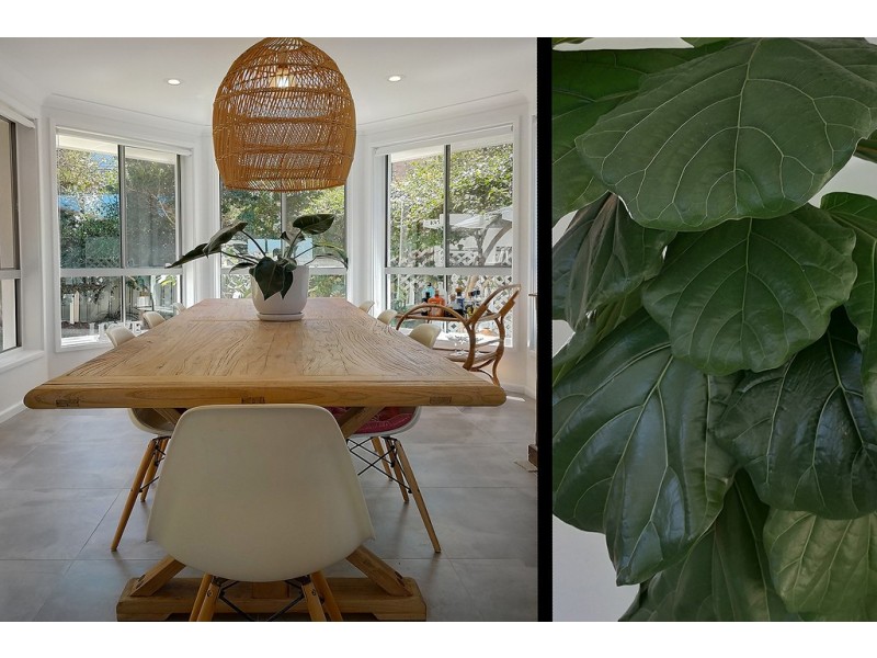 77 Kalang Road, Kiama Heights NSW 2533